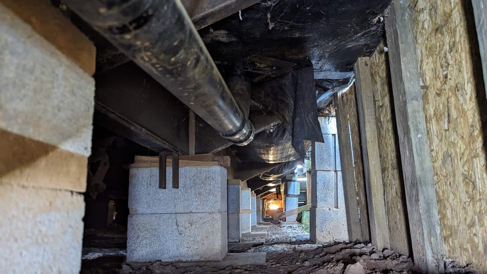 Topline Plumbing project photo 53