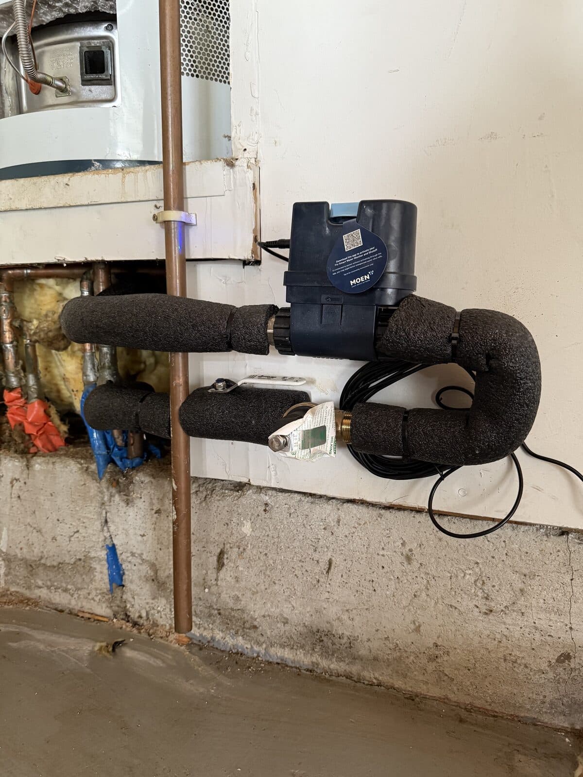 Exterior tankless water heater with insulated water lines and gas connection