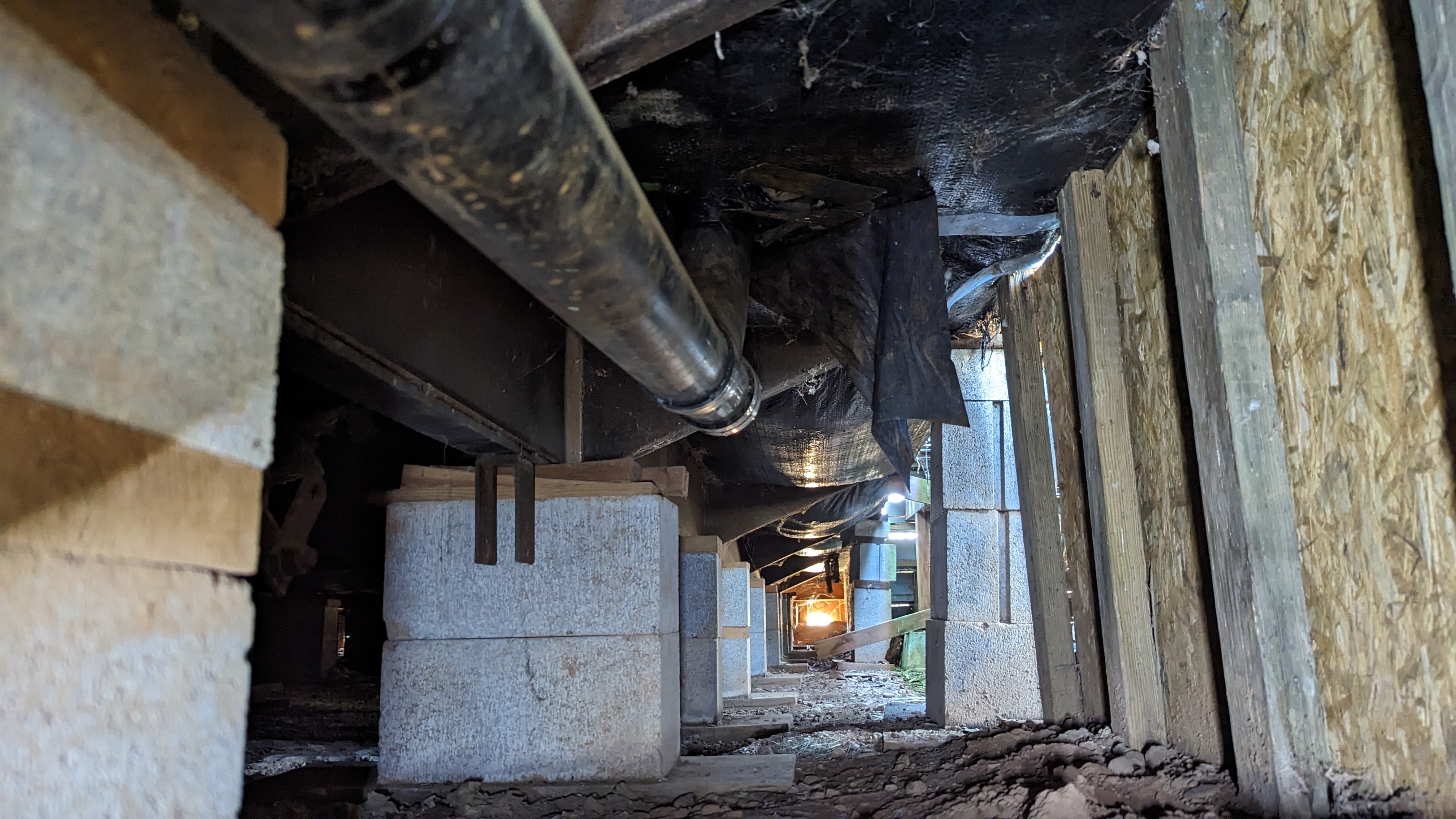 Topline Plumbing project photo 53