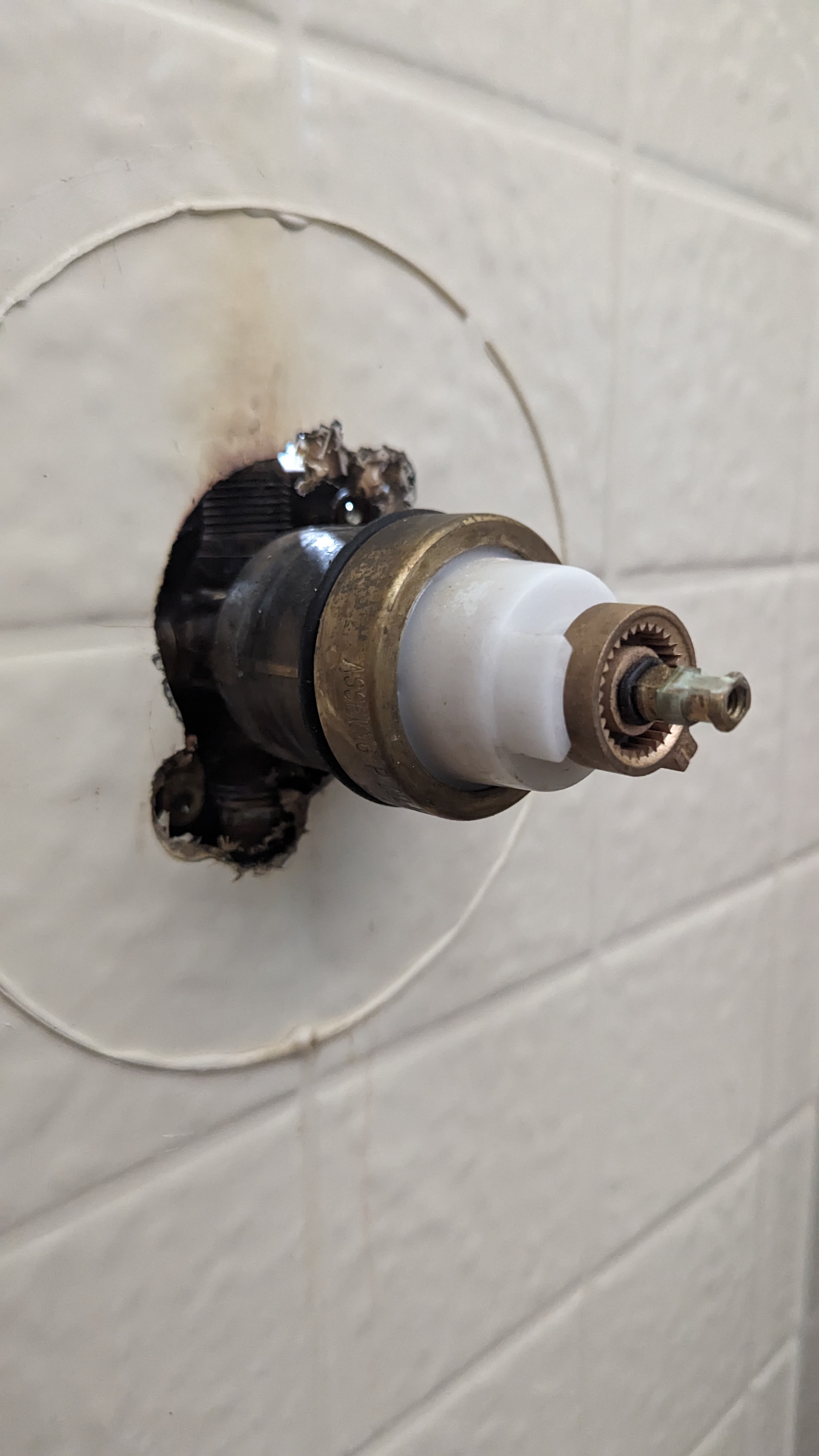 Topline Plumbing project photo 97